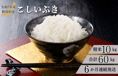 【6か月定期便】R7年産 新潟県産 こしいぶき 10kg （精米）