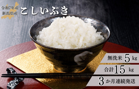 【3か月定期便】R7年産 新潟県産 こしいぶき 5kg (無洗米)