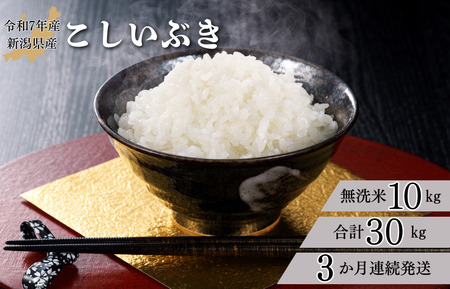 【3か月定期便】R7年産 新潟県産 こしいぶき 10kg (無洗米)