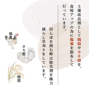 【ファーム喜左ヱ門】令和7年産 にじのきらめき（玄米)　10kg