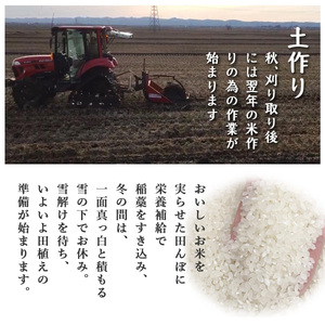 ファーム喜左ヱ門】令和7年産 にじのきらめき（精米) 10kg | 新潟県