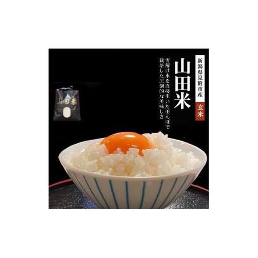 【ファーム喜左ヱ門】令和7年産 山田米（玄米)　5kg