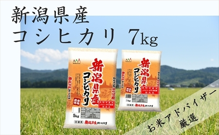 令和4年産 新潟県産 コシヒカリ 7㎏(精米)(5kg+2kg) | 新潟県見附市