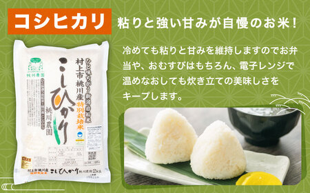 【令和7年産米】【精米即日発送】 新潟県村上市桃川産 特別栽培 コシヒカリ 6kg（2kg×3袋）　A4209