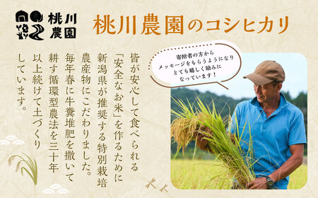 【令和7年産米】【精米即日発送】 新潟県村上市桃川産 特別栽培 コシヒカリ 6kg（2kg×3袋）　A4209