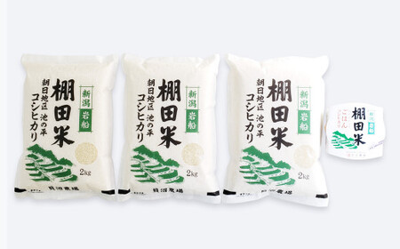 定期便：11ヶ月連続でお届け】【令和5年産米】岩船産 棚田米コシヒカリ