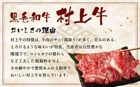 どんな肉料理にもオススメ！ 村上牛100％切り落とし500g 1021002