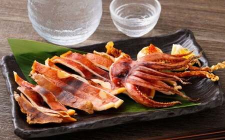 村上名産塩引鮭6切れと一夜干しイカ2枚 1025005