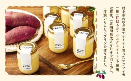 【数量限定】【村上市産 熟成さつまいも使用】焼き芋ぷりん2種（紅はるか・シルクスイート）×6個　計12個セット 1040007