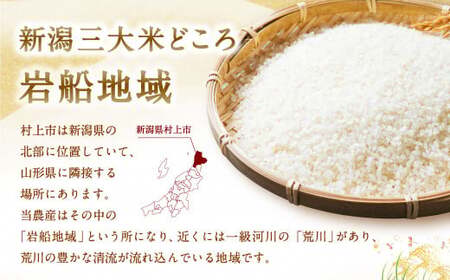 【令和7年産米】新潟県村上市 岩船産 新之助 5kg 1013002 