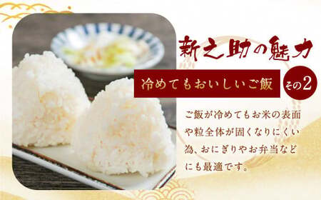 【令和7年産米】新潟県村上市 岩船産 新之助 5kg 1013002 