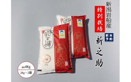 【新米受付・令和6年産米】米の名産地 新潟県岩船産 特別栽培米 新之助 4kg（2kg×2袋） 1039014N ｜ 白米 食味鑑定士謹製 一等米 プレミアム米 新耕農産 ツヤツヤ 農家直送 低温倉庫保管 安心 安全 小分けサイズ こだわり