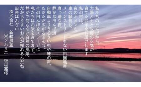 【新米受付・令和6年産米】米の名産地 新潟県岩船産 特別栽培米 新之助 4kg（2kg×2袋） 1039014N ｜ 白米 食味鑑定士謹製 一等米 プレミアム米 新耕農産 ツヤツヤ 農家直送 低温倉庫保管 安心 安全 小分けサイズ こだわり