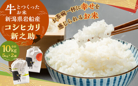 【令和7年産米】牛とつくったお米 新潟県岩船産 コシヒカリ 5kg・新之助 5kg 計10kg 1041006