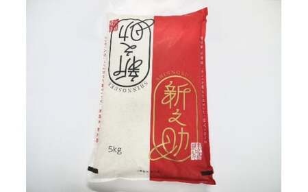 【令和7年産米】特別栽培米 新潟県村上市岩船産 新之助 5kg 1029001 26,250円