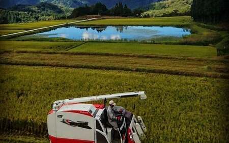 【令和7年産米】 こしいぶき 白米6kg（2kg×3） 新潟県村上市岩船産　1067102