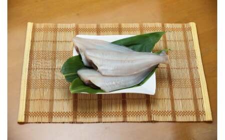 新潟県村上市笹川流れで水揚げ　旬の干物魚6点セット（店長おまかせ）1057001