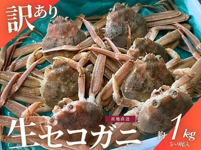 【年明け順次発送】【数量限定】＜訳あり＞冷蔵便　生セコガニ　約1kg（5～9尾入）1079005