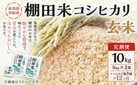 【定期便：12ヶ月連続でお届け】【令和7年産米】新潟県村上市岩船産 棚田米コシヒカリ 玄米10kg ＋ 棚田米コシヒカリのパックごはん(150g×1個)×12ヶ月 1067128