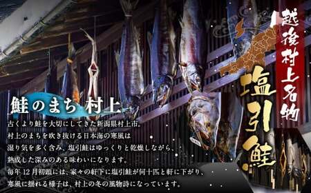 塩引鮭切り身 5切　1019001