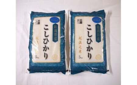 【新米】令和7年産　新潟県産　岩船産　コシヒカリ 10kg 令和7年産米】新潟県村上市岩船産 コシヒカリ10kg 1029010 | 新潟県