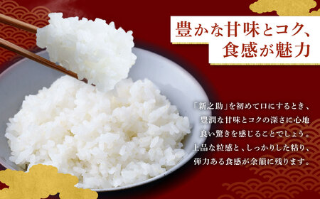 【令和7年産米】新潟県村上市岩船産 新之助6kg（2kg×3袋）1099003