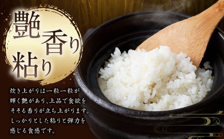 【令和7年産米】新潟県村上市岩船産 コシヒカリ6kg（2kg×3袋）1099004