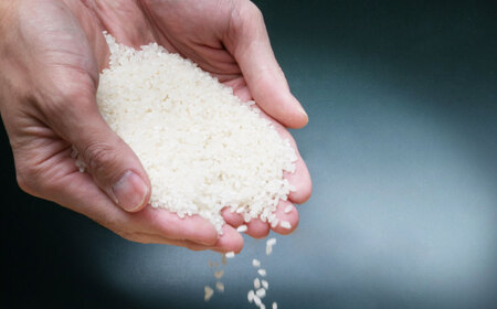 C4039 【令和5年産米】新潟県岩船産 侍米（SAMURICE） 昔コシヒカリ（玄米）24kg