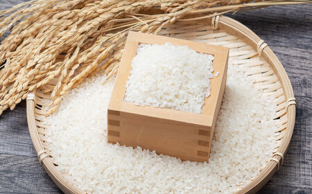 C4039 【令和5年産米】新潟県岩船産 侍米（SAMURICE） 昔コシヒカリ（玄米）24kg