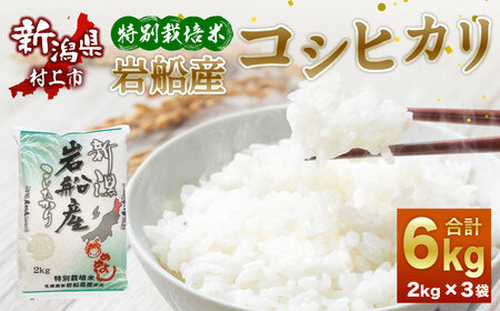 A4102 【令和6年産米】特別栽培米 新潟県岩船産 コシヒカリ 6kg