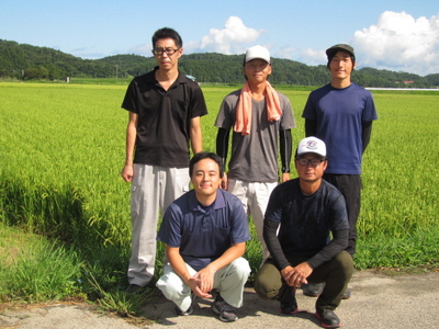 B4082 【令和5年産米】新潟県岩船産 新之助・特別栽培米 岩船産 コシヒカリセット 12kg