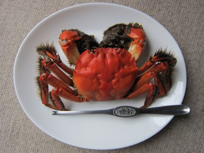 【期間限定】天然活きモクズガニ 約1kg(6~10匹、オス・メス混合) ネットに入れてお届け 下処理不要 調理レシピ付き AB4027