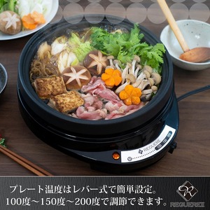 レギュールⅡ グリルパン & たこ焼プレート MJ-0721