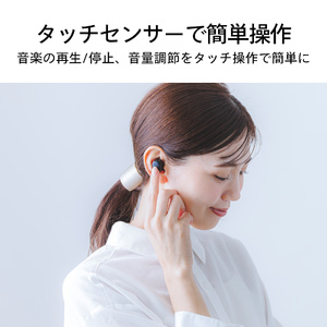 ワイヤレスイヤホン (AV-9344B)