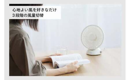 USB給電式デスクファン (EF-4984W)