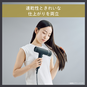 匠クラフトドライヤー ホワイト(TB-G009W18)