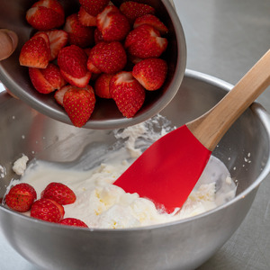 LB-106 ラバーゼ ボウル大 & シリコーンヘラ レッド