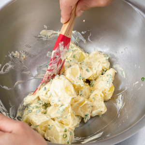 LB-106 ラバーゼ ボウル大 & シリコーンヘラ レッド