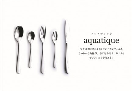 アクアティック(ICE) ティースプーン6本セット(貼箱梱包)