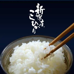 新潟県産コシヒカリ 10kg (5kg×2袋)  名水と翡翠の郷 令和5年産  糸魚川 白米  