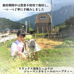 カモミールティー６パック×2袋 栽培期間中は農薬不使用で栽培 新潟県 糸魚川 母の日