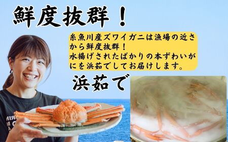 日本海直送 本ズワイガニ 800g以上 2杯 計1.6kg（指定日・年末年始配送不可） 濃厚味噌  浜茹で 茹でたてをお届けします カニ 蟹 新潟県　糸魚川 伝兵水産 【カニ かに ズワイガニ ずわいがに 】 