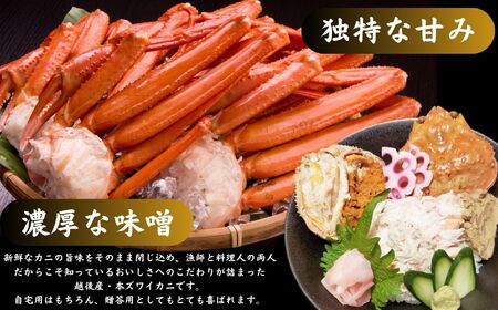 日本海直送 本ズワイガニ 800g以上 2杯 計1.6kg（指定日・年末年始配送不可） 濃厚味噌  浜茹で 茹でたてをお届けします カニ 蟹 新潟県　糸魚川 伝兵水産 【カニ かに ズワイガニ ずわいがに 】 