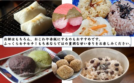 【令和7年産 新米】新潟県産 もち米『こがねもち』3kg 令和7年産 ふっくらモチモチ！ 芳醇な甘い香り 磯貝農場【ふるさと納税 米 ブランド米 餅 赤飯 おこわ 糸魚川 2025年産】