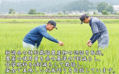 【令和7年産 新米】新潟県産 もち米『こがねもち』3kg 令和7年産 ふっくらモチモチ！ 芳醇な甘い香り 磯貝農場【ふるさと納税 米 ブランド米 餅 赤飯 おこわ 糸魚川 2025年産】