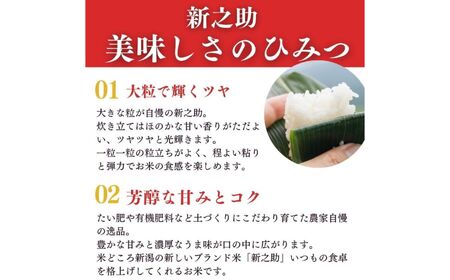 令和7年産【定期便】新之助 2kg×3ヶ月 計6kg 米・食味鑑定士お墨付き 家族みんなで愛情かけて育てた米 新潟県糸魚川産 2025年 しんのすけ 白米 百姓や伝六【米 お米 こめ 食品 人気 おすすめ ギフト 新潟県の新しいブランド米 農家直送 2キロ 精米 3回 3か月 新之助 】