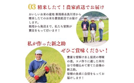 令和7年産【定期便】新之助 2kg×3ヶ月 計6kg 米・食味鑑定士お墨付き 家族みんなで愛情かけて育てた米 新潟県糸魚川産 2025年 しんのすけ 白米 百姓や伝六【米 お米 こめ 食品 人気 おすすめ ギフト 新潟県の新しいブランド米 農家直送 2キロ 精米 3回 3か月 新之助 】