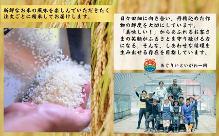 令和6年産新米 新潟県産コシヒカリ「いちのまい」5㎏ 米・食味鑑定士お墨付き 令和6年産 精米したてを発送 こしひかり 糸魚川 白米