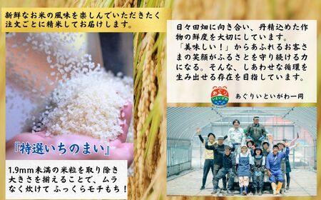 新潟県産コシヒカリ「特選いちのまい」5㎏ 米・食味鑑定士お墨付き 令和5年産 精米したてを発送 こしひかり 糸魚川 白米