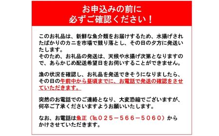 〈期間限定〉越後 本ズワイガニ 大 1杯 0.8~1kg 姿 糸魚川産 浜茹で 鮮度が命！茹でたて直送 ギフトにも おススメ!! ずわいがに かに カニ 蟹 魚正 国産 日本海 新潟県 